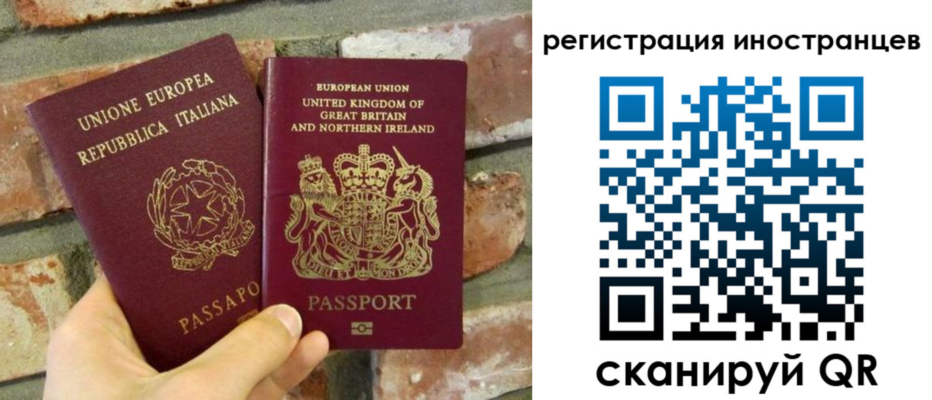 временная регистрация для школы в Новом Осколе